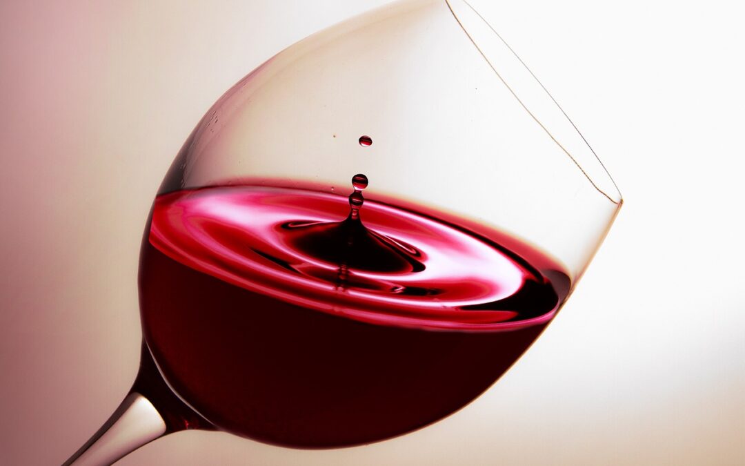 Projection “À la source du vin”