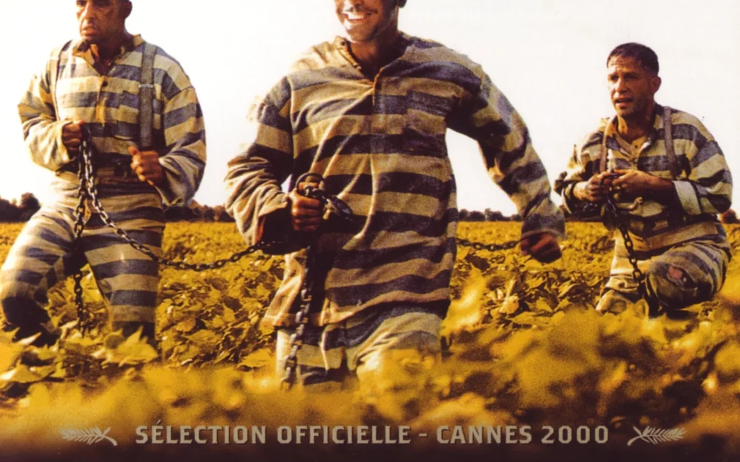 19 juillet : Projection plein air – O’Brother