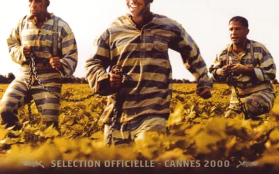 19 juillet : Projection plein air – O’Brother